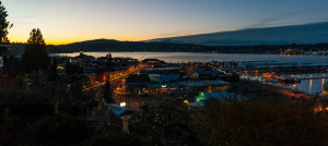 LMTZ Marketing wants to help local businesses thrive.